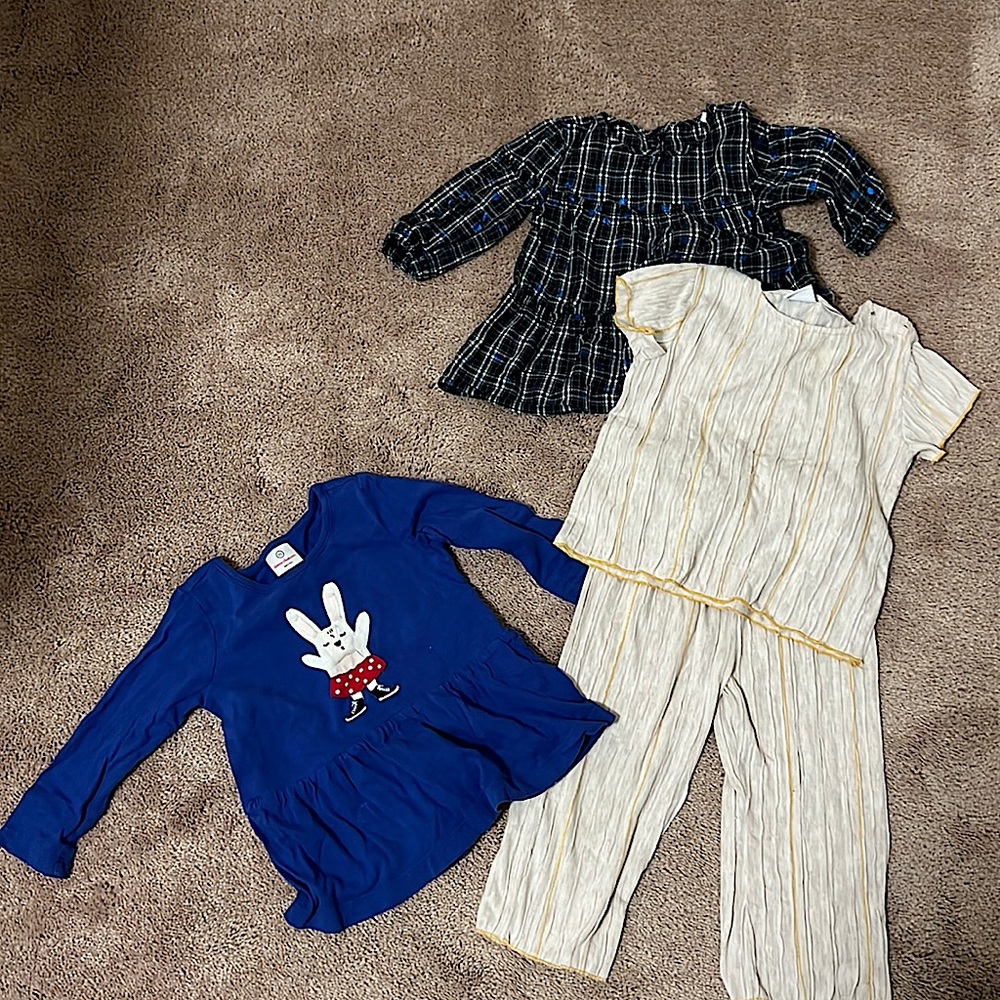 Various T-shirts and cute blouses for little girl (3T)